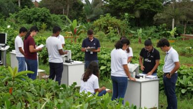 Grupo de estudantes durante aula prática de gestão ambiental em campo, rodeados por vegetação e equipamentos de análise ambiental